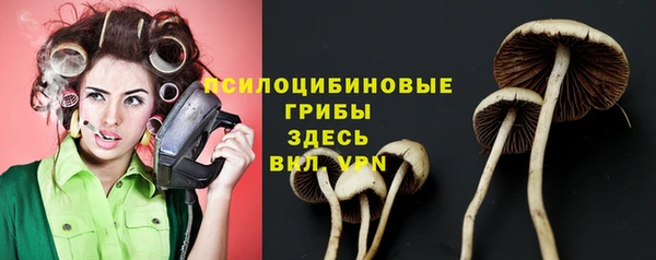 PSILOCYBIN Белоозёрский