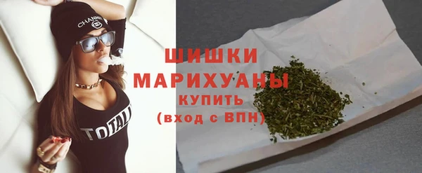 трава Белокуриха