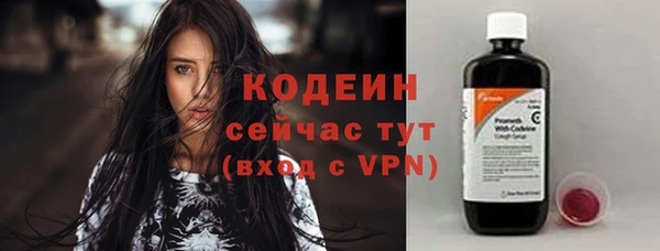 трава Белокуриха
