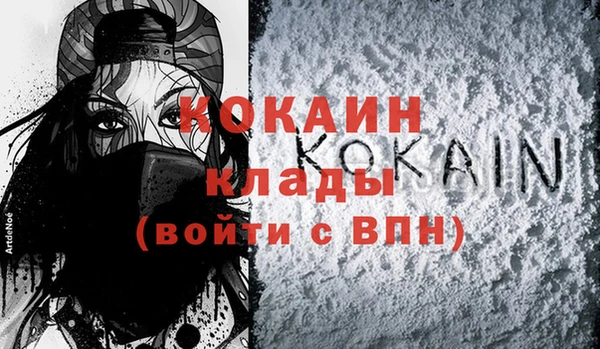 трава Белокуриха