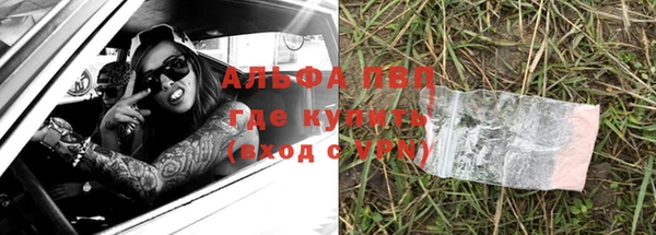 трава Белокуриха