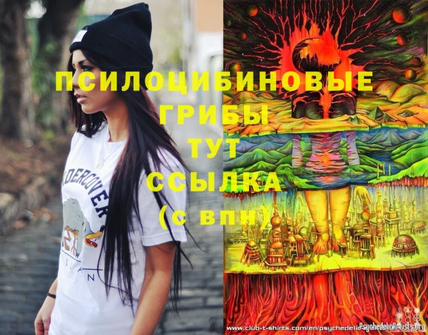 PSILOCYBIN Белоозёрский