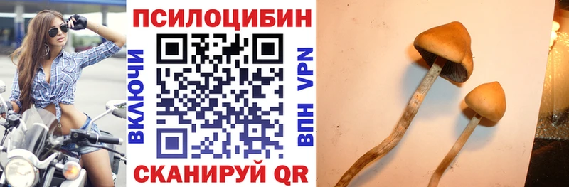 Псилоцибиновые грибы GOLDEN TEACHER  сколько стоит  Мглин 
